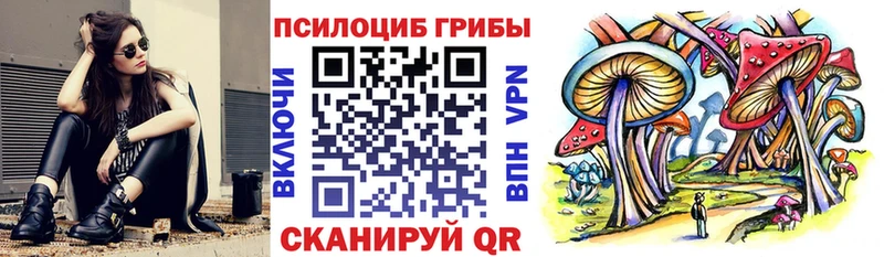 Псилоцибиновые грибы Magic Shrooms  Кашин 